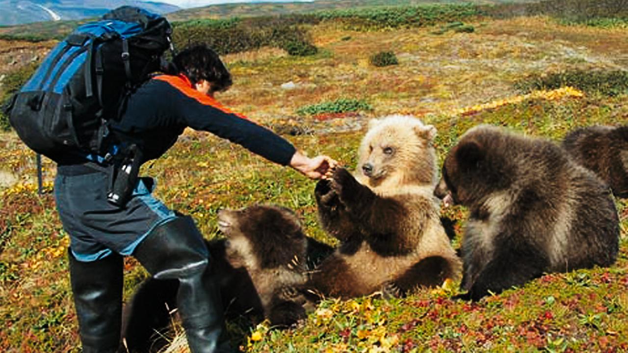 Есть ли медведь людей. Камчатский медведь и человек. Камчатка медведи и люди. Встреча с медведем. Встреча человека с медведем.
