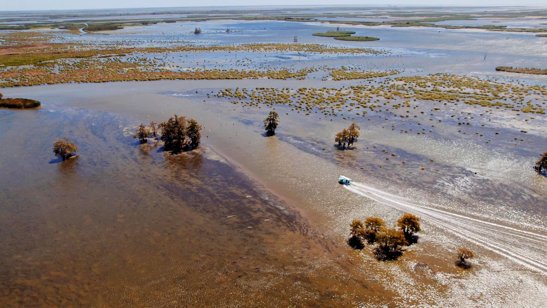 Das Mündungsdelta des Mississippi