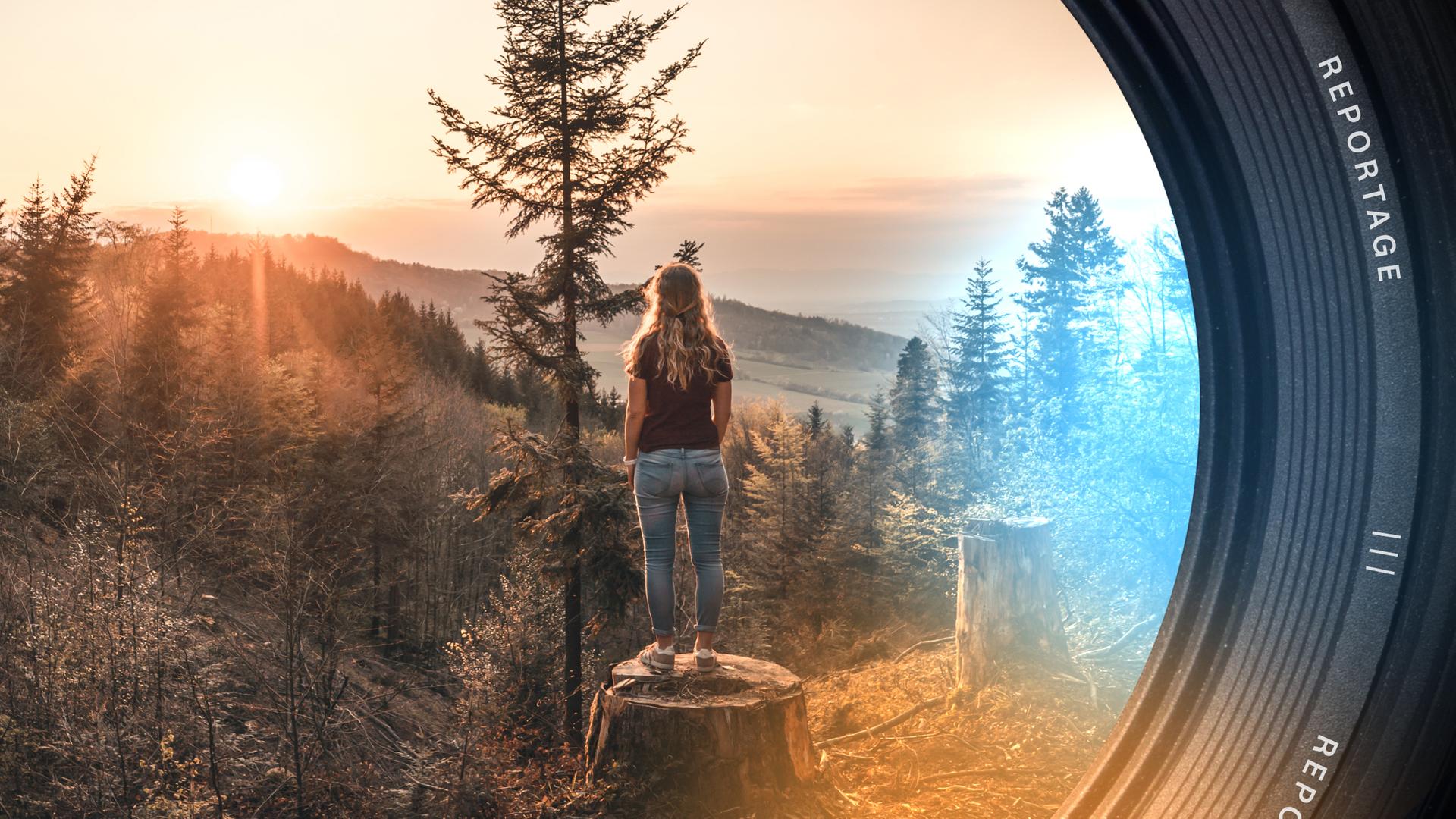 Eine Frau steht mit dem Rücken zur Kamera auf einem Holszstumpf und überblickt einen hügeligen Wald im Sonnenuntergang.