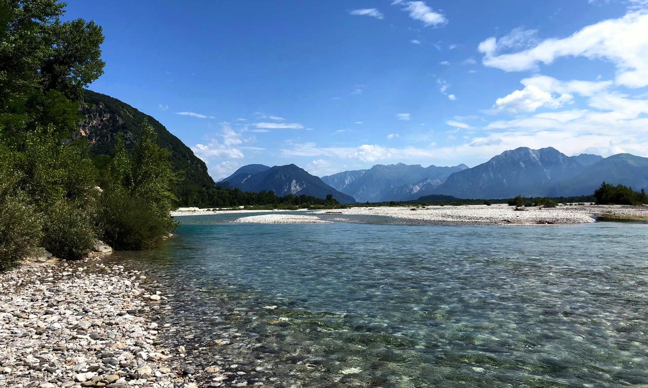 der tagliamento - koenig der alpenfluesse