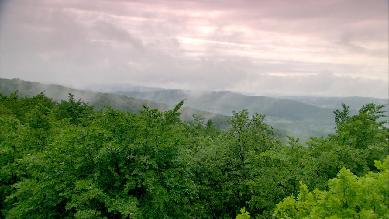 Luftaufnahme Lainzer Tiergarten