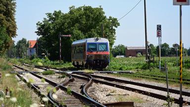 Ein Zug in Fahrt in grüner Umgebung. 
