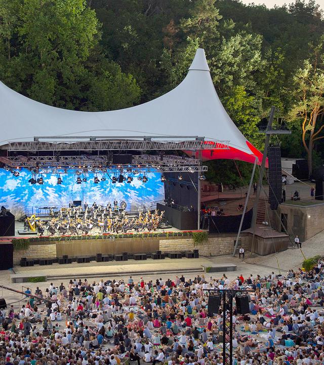 Blick von oben auf die Waldbühne und das volle Publikum