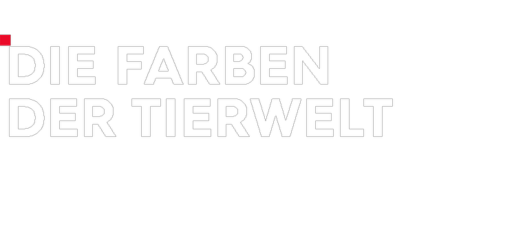 Logo Die Farben der Tierwelt