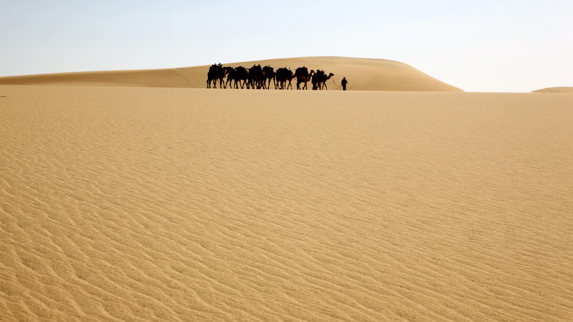 "Die Farben der Wüste: Die gelbe Sahara" - Die Karawane des Teams