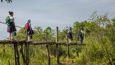 Schulkinder aus der Region Bajo Cauca im Norden von Kolumbiens balancieren auf einer morschen Brücke über das Wasser, um ans Ufer auf der anderen Seite zu gelangen.