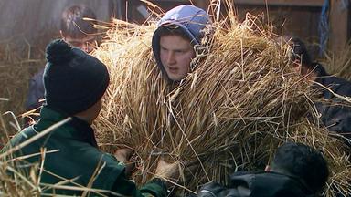 Ein junger Mann wird mit Stroh verkleidet