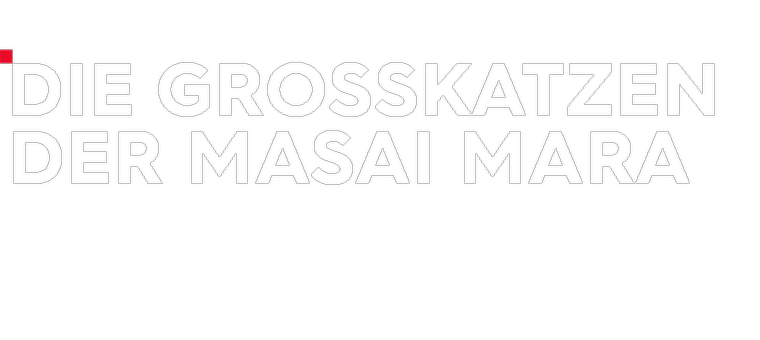 Die Großkatzen der Masai Mara Logo 760x340
