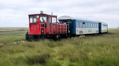 Eine Schmalspurbahn im hohen Gras.