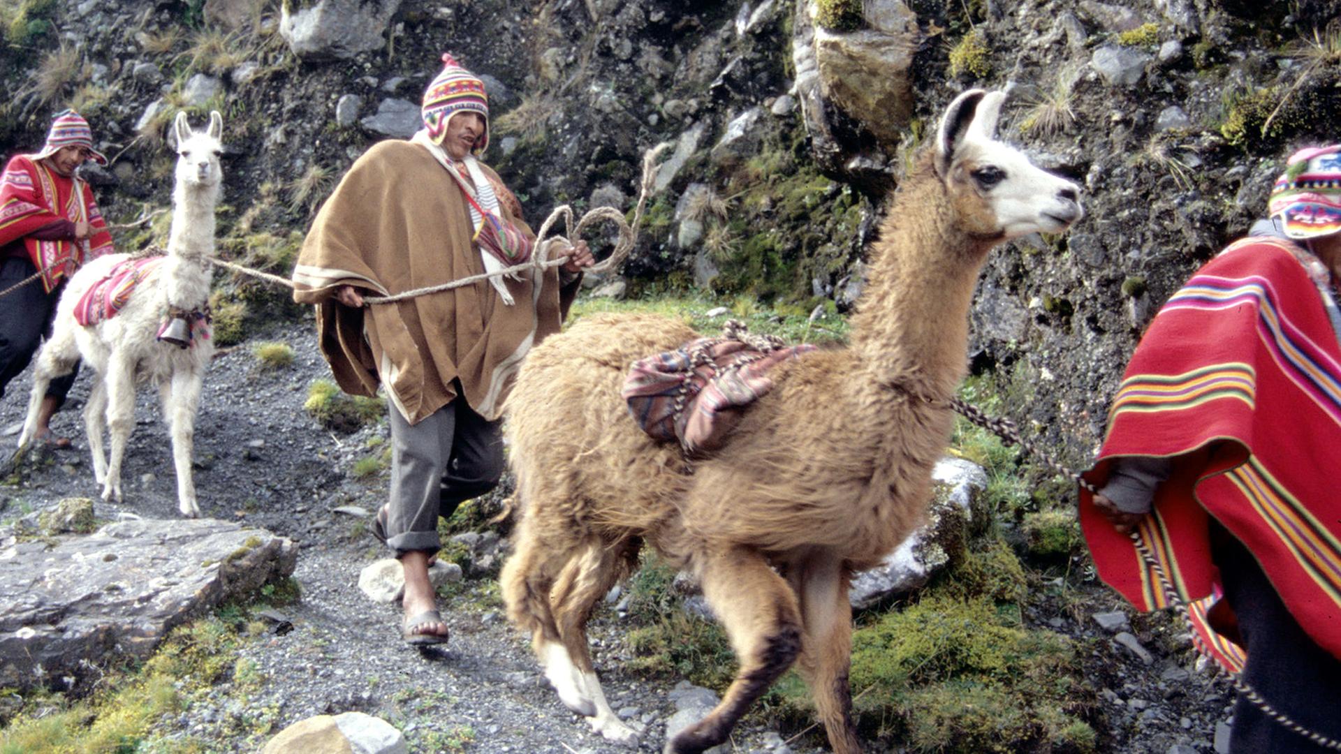 Nomaden beim Abstieg