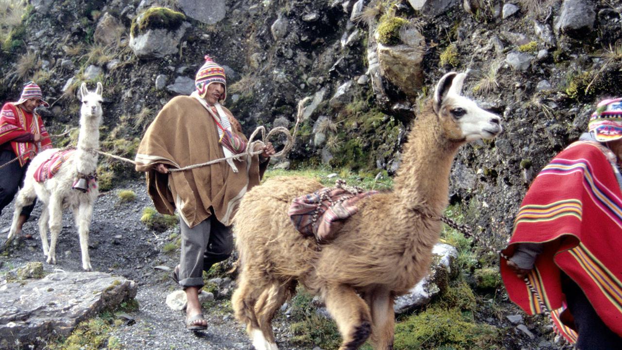 Standbild: Die letzten Nomaden