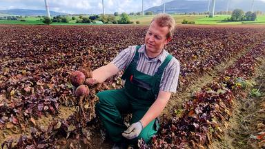 Ein Mann kniet auf einem Acker und hält skeptisch eine Rote Bete in der Hand.