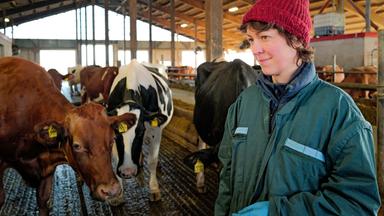 Eine Frau steht in einem Kuhstall.