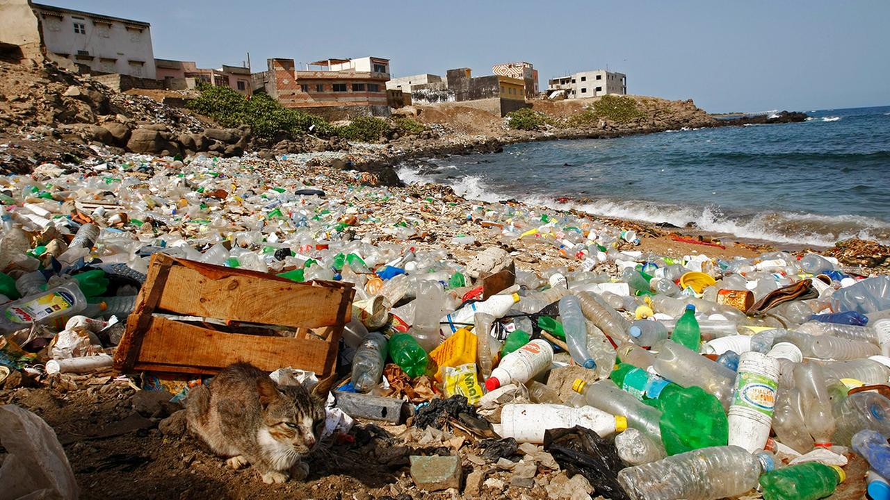 Standbild: Die Plastikflut