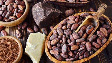 Natürliche Bio-Kakaoprodukte