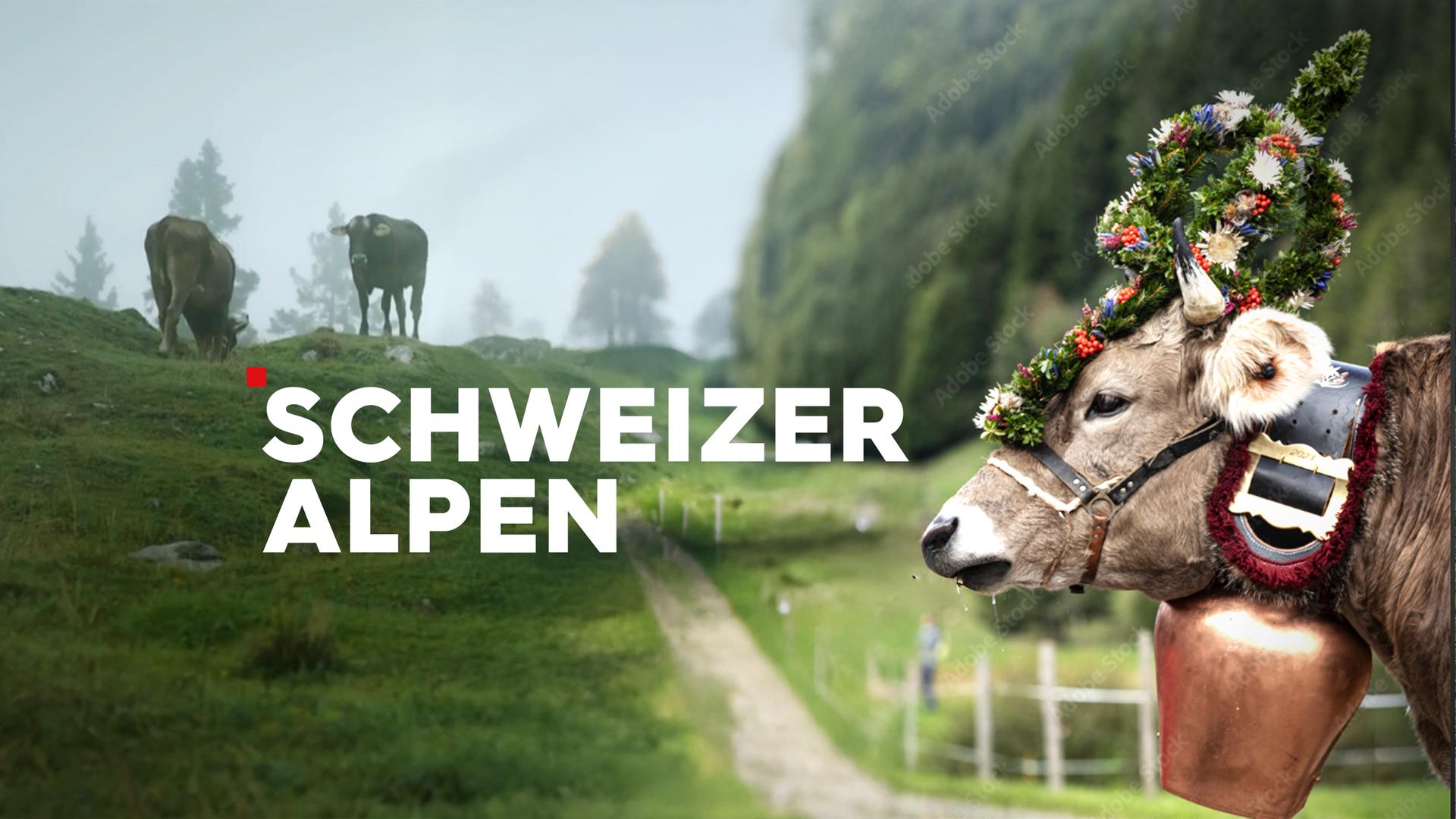 Die Schweizer Alpen Sendetypical