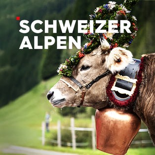 Die Schweizer Alpen Sendetypical