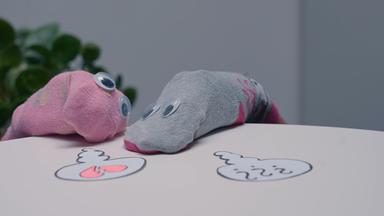 "Die glorreichen 10 – Die sensationellsten Suchaktionen der Geschichte": Zwei verschiedenfarbige, einsame Sockenpuppen nähern sich schüchtern einander an.