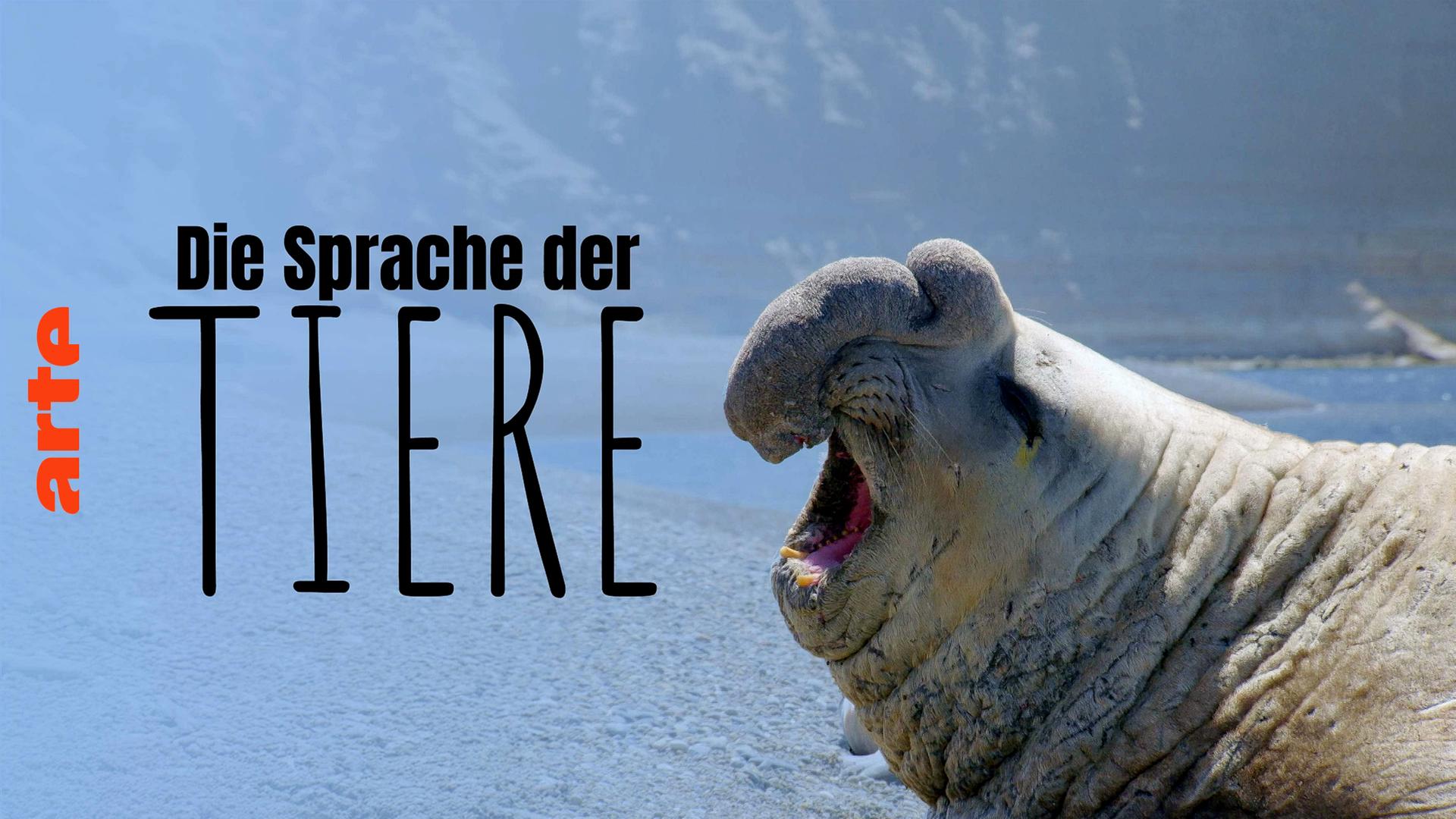 Die Sprache der Tiere
