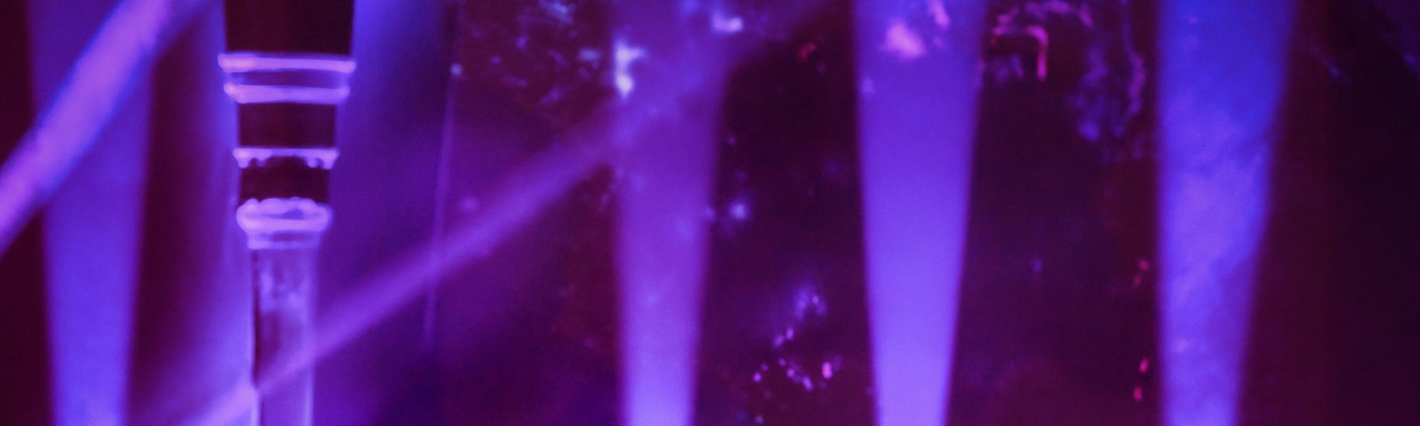 Die Tafelrunde Hintergrund