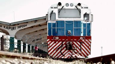 Die Frontalansicht eines blau-rot-weissen Zuges 