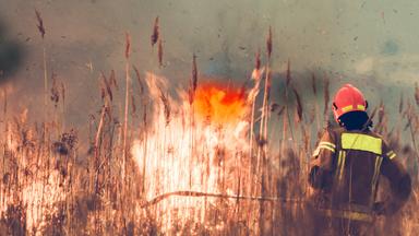 ein feuerwehrmann vor einem brennenden Feld
