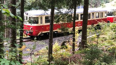 Der Zug durchquert am Pass zwischen Iser- und Riesengebirge dichten Wald.