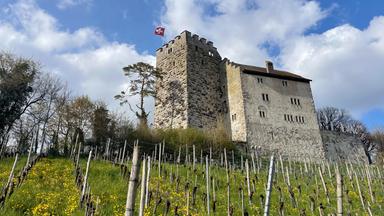 Mittelalterliche Burg auf einem Weinberg - Blick von unten auf die Burg hinauf.