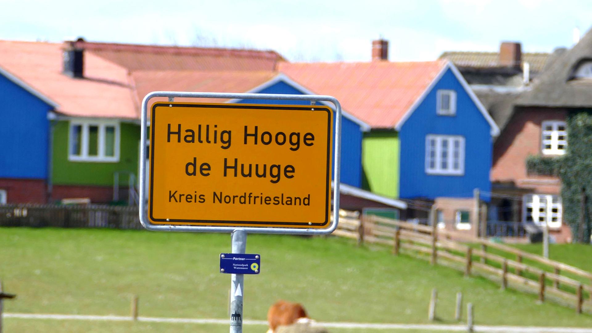 schild