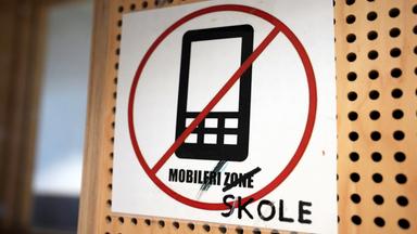 Das Bild zeigt ein Schild, das in einem öffentlichen oder schulischen Bereich angebracht ist. Auf dem Schild befindet sich ein durchgestrichenes Symbol eines Mobiltelefons, was darauf hinweist, dass Handynutzung an diesem Ort verboten ist. Der Text auf dem Schild besagt „MOBILFRI ZONE“, wobei das Wort „SKOLE“ zusätzlich in schwarzer Schrift unter dem ursprünglichen Text vermerkt ist, was auf einen Bezug zur Schule hindeutet. Der Hintergrund des Schildes ist ein perforiertes Holzbrett, das ebenfalls Teil der Umgebung sein könnte.   Das Bild thematisiert das Handyverbot in Schulen und könnte im Kontext der Diskussion über die Auswirkungen von Technologie auf die Jugend gesehen werden.