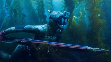 In der Tiefe des Meeres wie ein Fisch: Die Speerfischerin Mitsuki auf der Jagd nach Beute.