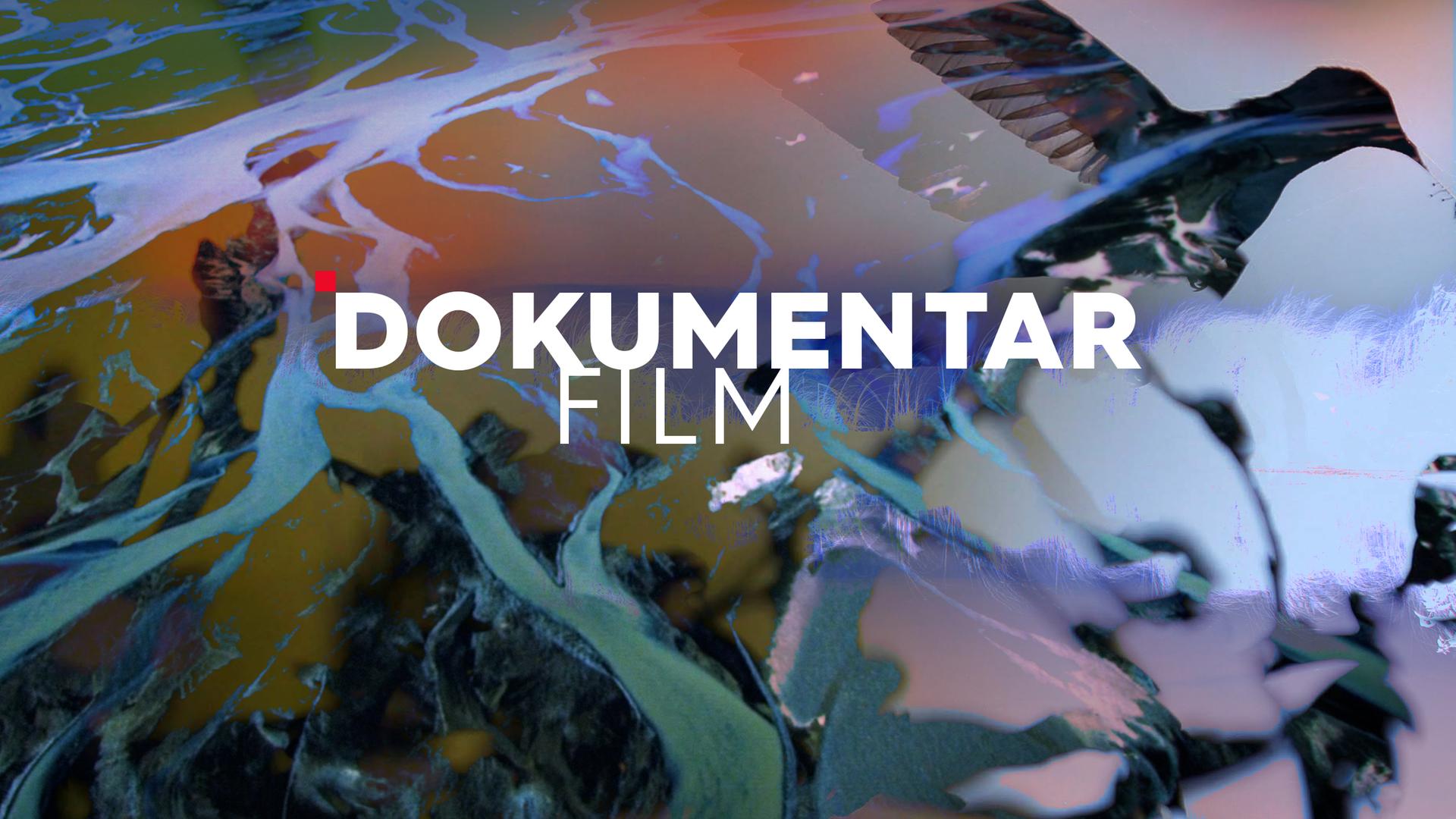dokumentarfilm teaser mit logo