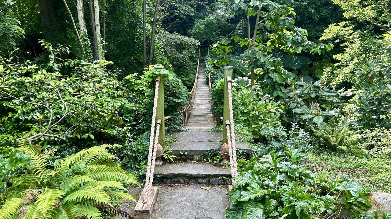 Das Bild zeigt eine schmale, hölzerne Brücke, die über einen begrünten Weg führt. Umgeben von dichter Vegetation, einschließlich Farne, Sträucher und Bäume, führt der Weg in einen bewaldeten Bereich.