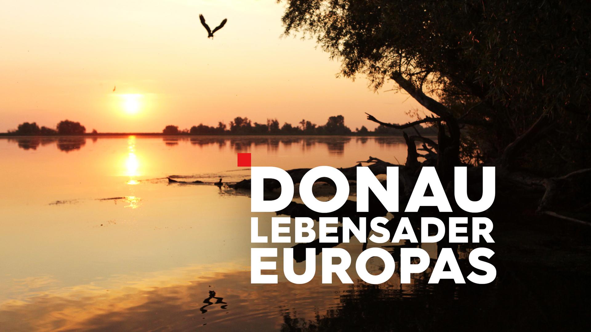 Donau – Lebensader Europas Sendetypical