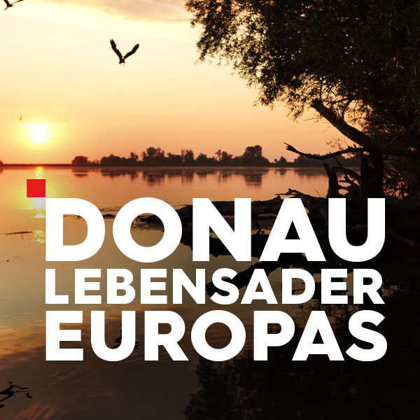 Donau – Lebensader Europas Sendetypical