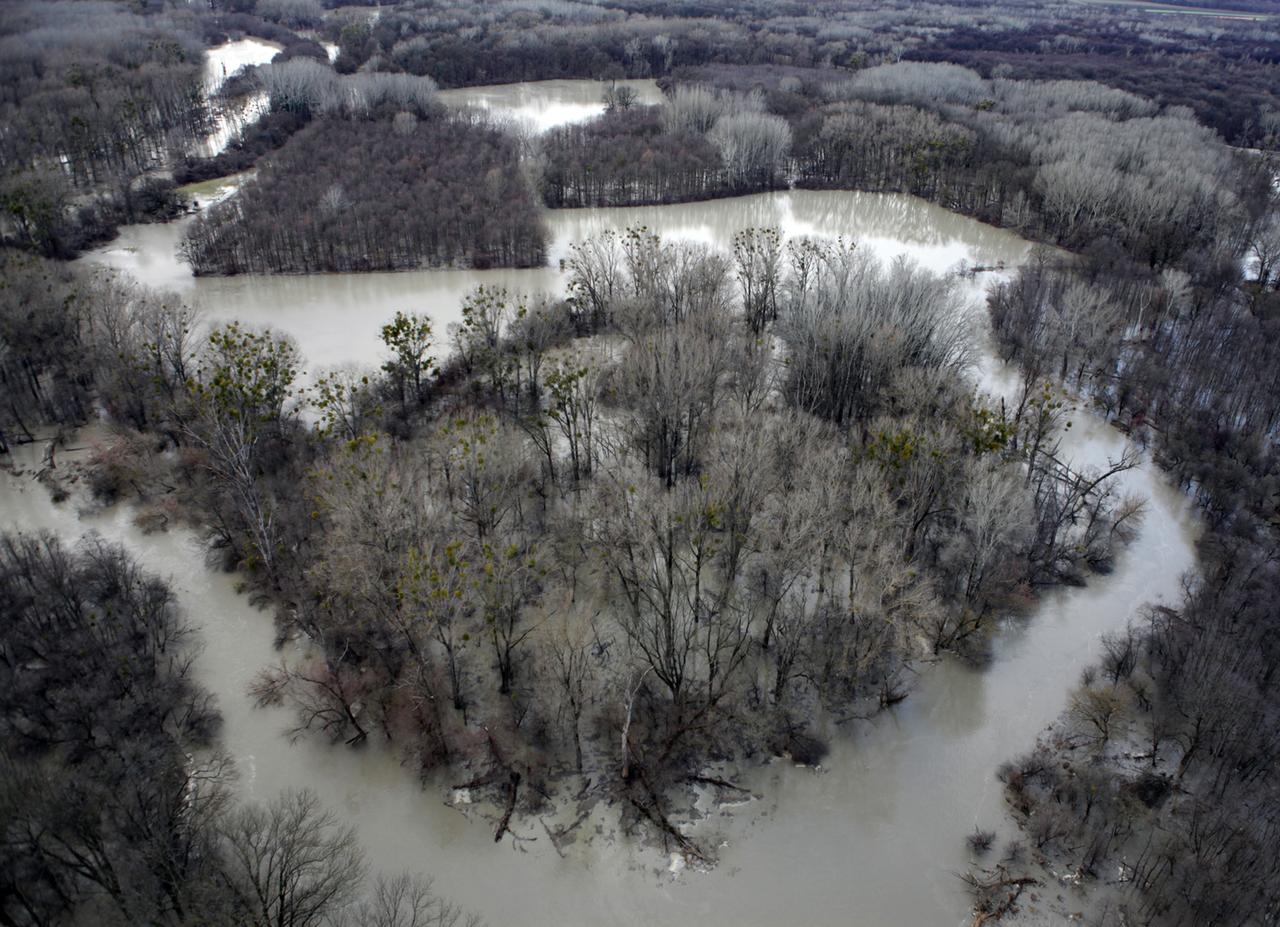 Luftaufnahme vom Nationalpark Donauauen im Winter