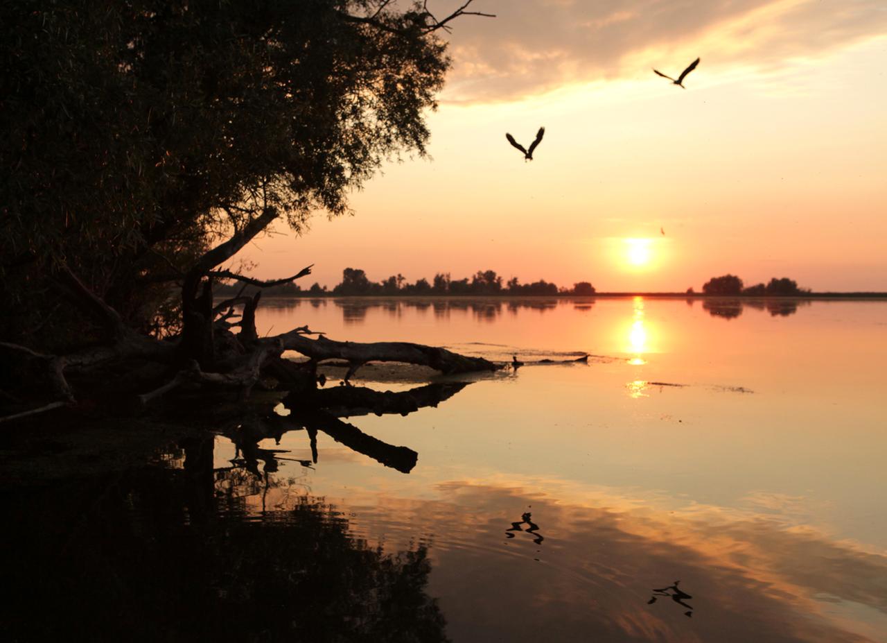 Sonnenutergang, der sich im Wasser spiegelt