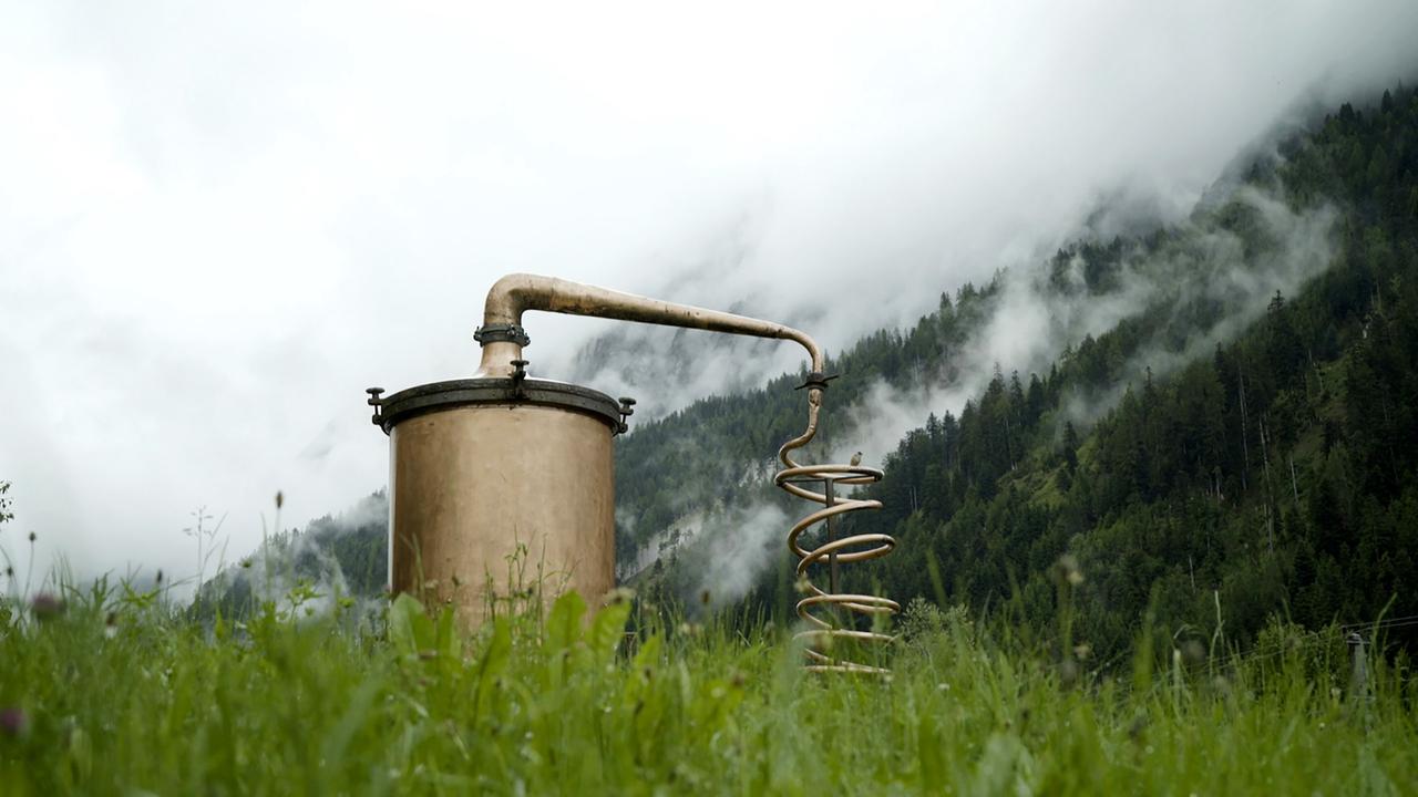 Das Bild zeigt eine alte Destille, die aus Metall besteht und auf einem grünen, hügeligen Feld steht. Die Destille hat einen runden Körper und einen langen, gebogenen Auslass, der in eine Schraubenform übergeht. Im Hintergrund sind hohe, bewaldete Berge mit dichten, dunklen Nadelbäumen zu sehen, die von Nebel umhüllt sind. Der Himmel ist bewölkt und die Atmosphäre wirkt ruhig und naturverbunden. Das Gras um die Destille ist grün und etwas unrasiert, mit einzelnen Blumen, die im Bild verteilt sind. Insgesamt vermittelt das Bild eine ländliche Szenerie in den Alpen, die mit der Natur und der Tradition der Kräuterverarbeitung verbunden ist.