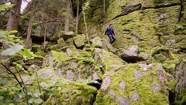 Mann spaziert zwischen mossbewachsenen Felsen bergab