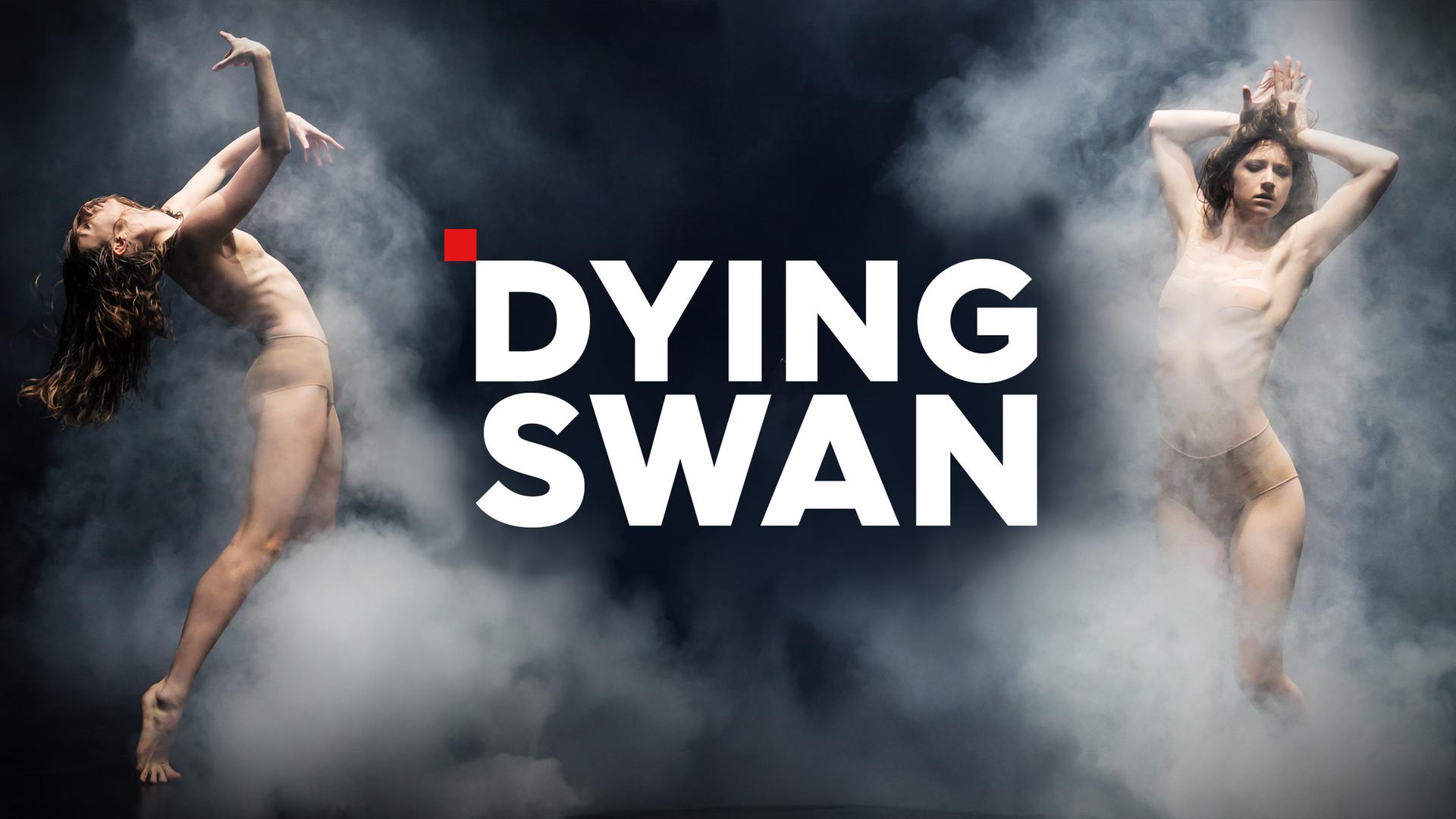 Dying Swans Sendetypical