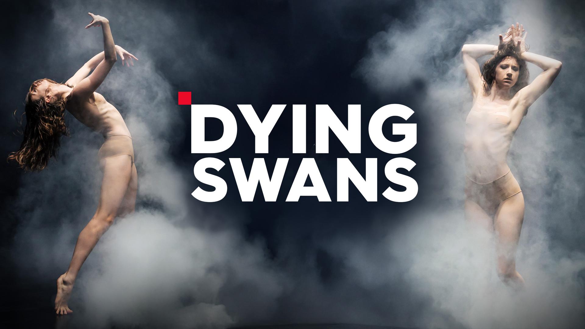 Dying Swans Sendetypical