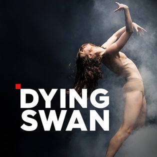 Dying Swans Sendetypical