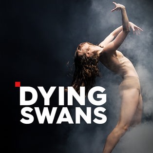 Dying Swans Sendetypical