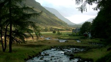Blick auf grüne Natur