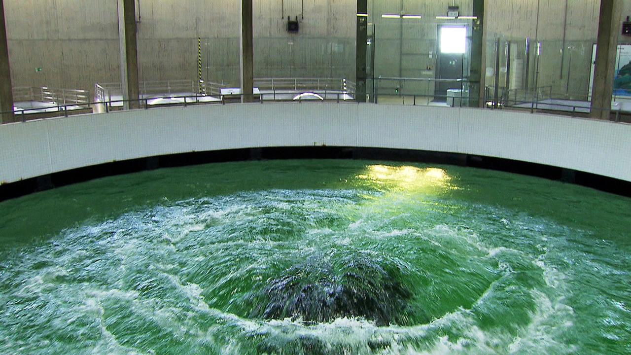 Quell-Becken der Bodensee- Wasserversorgung Sipplingen