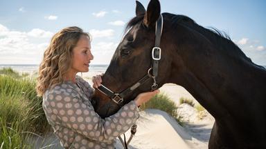 Eine Frau mit lockigem Haar steht in den Dünen am Strand und hält ein schwarzes Pferd sanft am Zaumzeug, während sie es liebevoll anschaut.