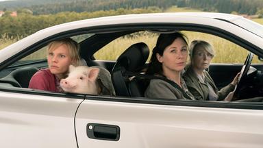 "Eine ganz heiße Nummer 2.0": Waltraud (Gisela Schneeberger), Maria (Bettina Mittendorfer) und Lena (Rosalie Thomass) sitzen im Auto. Waldtraud ist am Steuer, während Lena auf dem Rücksitz ein Schweinchen auf dem Schoß hat. Alle schauen mit fragendem Blick aus dem Fenster.