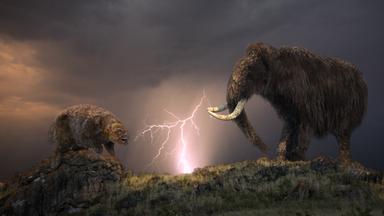 Riesenfaultier trifft Mammut (Eiszeit)