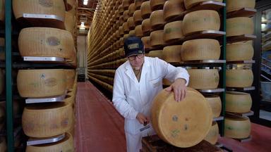 Mann mit großem Käserad vor Regalen voller Käseräder.