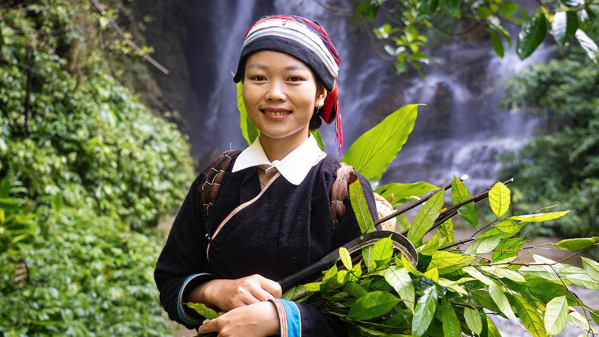 Phan Thi Lien sammelt Pflanzen, die in der traditionellen Medizin ihres Volkes, der ethnischen Minderheit der Dao, eine wichtige Rolle spielen.